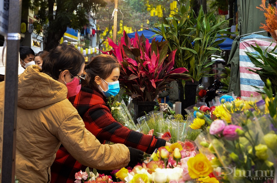 Người dân chọn mua hoa về chơi Tết