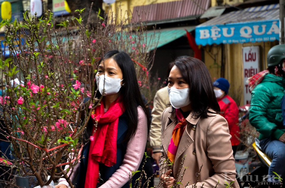 Chọn được cành đào ưng ý là đón Xuân về đến nhà