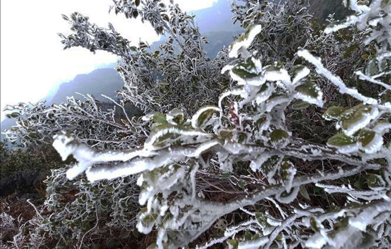 Bắc Bộ rét đậm, vùng núi cao có khả năng xảy ra băng giá.