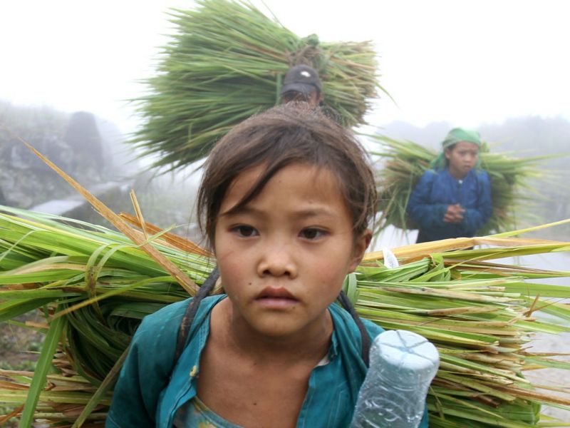 Phạt đến 25 triệu đồng nếu sử dụng người chưa đủ 15 tuổi làm việc vào ban đêm - ảnh 1