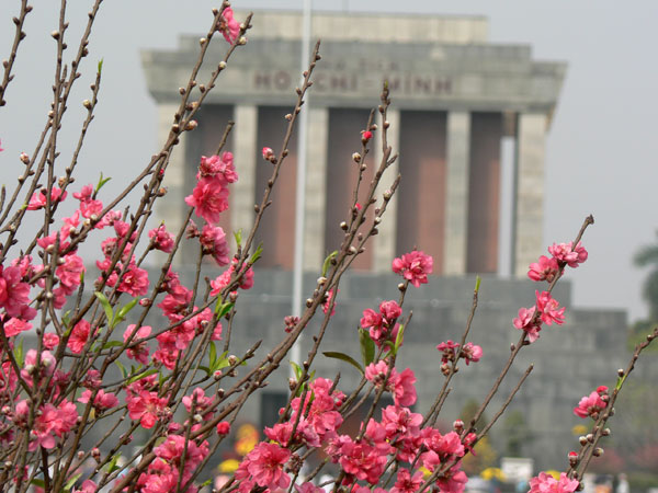 Ảnh minh họa. Nguồn INT