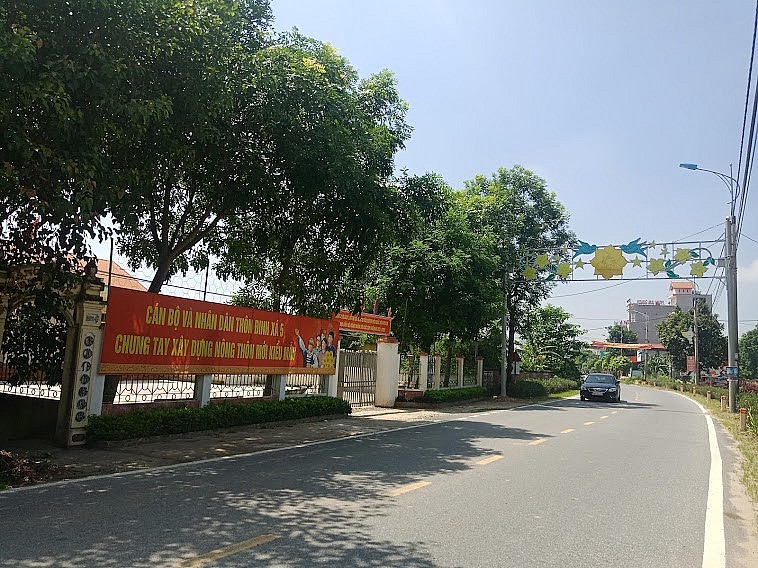 Hà Nội phấn đấu năm 2022 trồng mới 200.000 - 250.000 cây bóng mát - ảnh 1