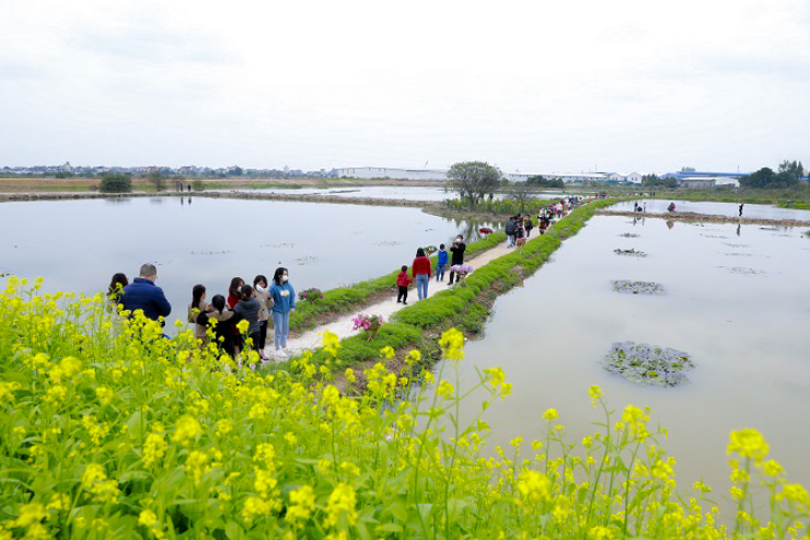 Sự kiện thu hút đông đảo người dân sinh sống tại Hà Nội. Nhiều gia đình đưa con nhỏ tới tham quan, chụp ảnh. Sự kiện thu hút đông đảo người dân sinh sống tại Hà Nội. Nhiều gia đình đưa con nhỏ tới tham quan, chụp ảnh.