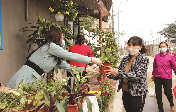 Cán bộ, hội viên Chi hội Phụ nữ số 7, phường Tứ Liên hào hứng, phấn khởi đổi chai nhựa, bìa carton lấy cây xanh. 	Ảnh: T.H Cán bộ, hội viên Chi hội Phụ nữ số 7, phường Tứ Liên hào hứng, phấn khởi đổi chai nhựa, bìa carton lấy cây xanh. 	Ảnh: T.H