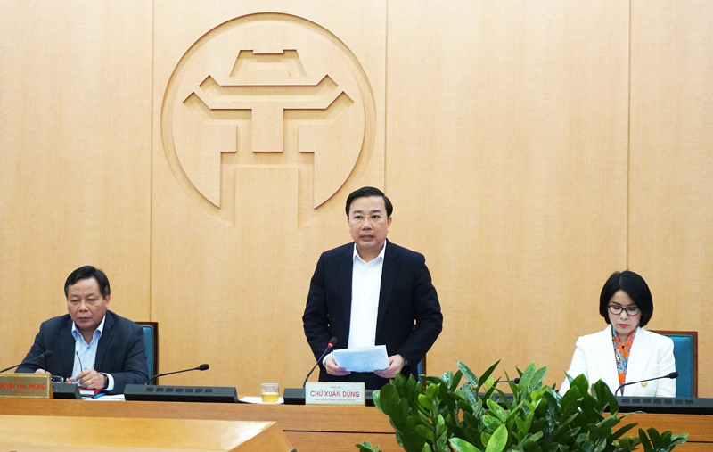 Phó Chủ tịch UBND Chử Xuân Dũng phát biểu