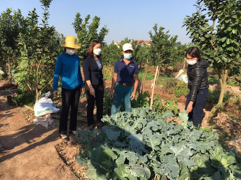 Mô hình “Phụ nữ giúp nhau phát triển kinh tế gia đình, giảm nghèo bền vững” trên địa bàn xã Nam Phong, huyện Phú Xuyên, TP Hà Nội 	Ảnh: TT Mô hình “Phụ nữ giúp nhau phát triển kinh tế gia đình, giảm nghèo bền vững” trên địa bàn xã Nam Phong, huyện Phú Xuyên, TP Hà Nội 	Ảnh: TT