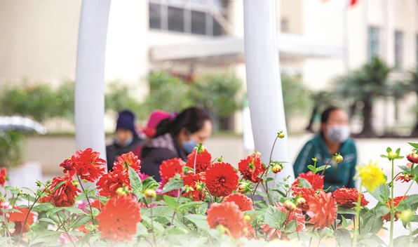 Ảnh minh họa Ảnh minh họa