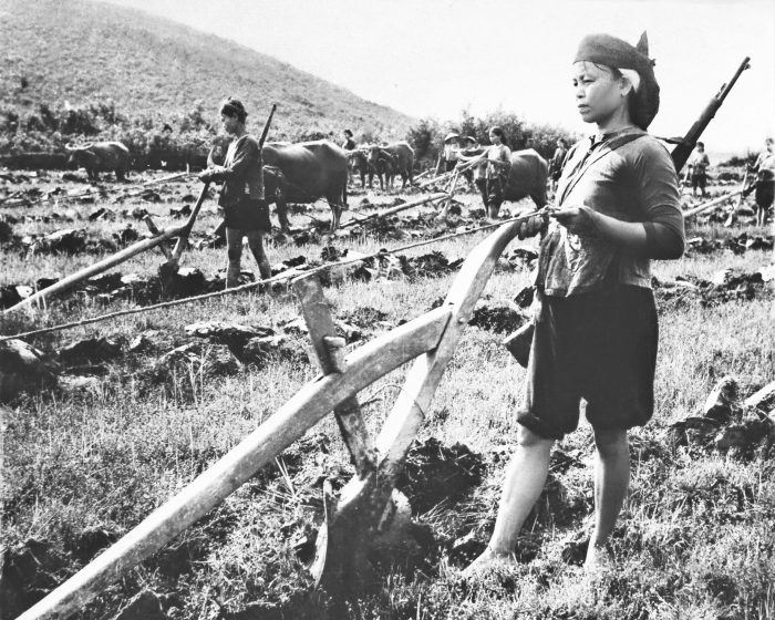 Xã viên hợp tác xã Trung Báo (tỉnh Hoà Bình) học cày bừa thay thế nam giới trong phong trào Ba Đảm đang