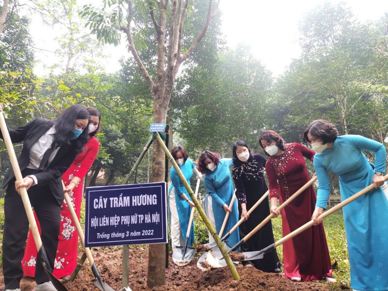 Các đại biểu tham gia trồng cây tại Khu di tích Chủ tịch Hồ Chí Minh K9 Đá Chônghuyện Ba Vì	Ảnh: TH