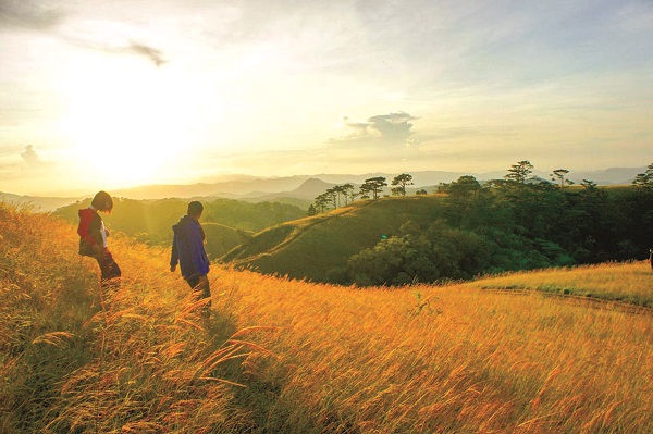 Tà Năng - Phan Dũng, cung đường trekking đẹp nhất Việt Nam Tà Năng - Phan Dũng, cung đường trekking đẹp nhất Việt Nam