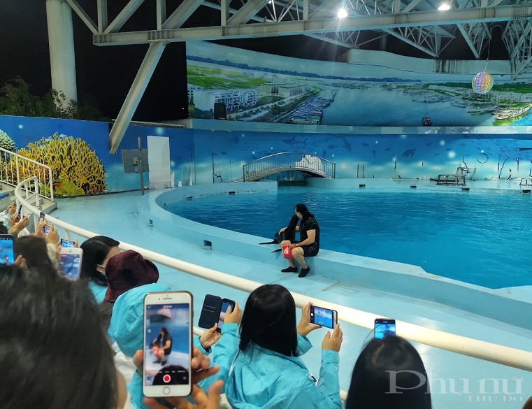 C&aacute;c đại biểu th&iacute;ch th&uacute; v&agrave; d&ugrave;ng điện thoại ghi lại những h&igrave;nh ảnh ấn tượng tại buổi biểu diễn