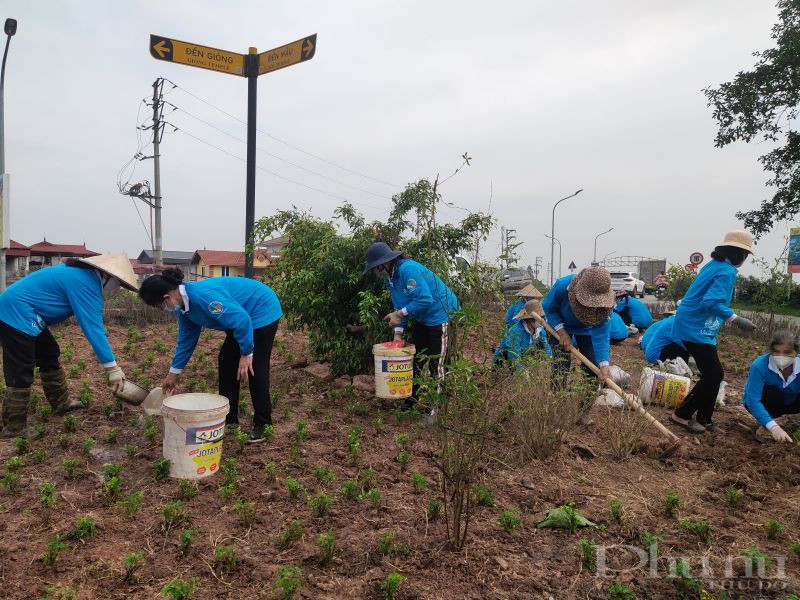 Chị em cán bộ hội viên tham gia trồng và chăm sóc cây xanh