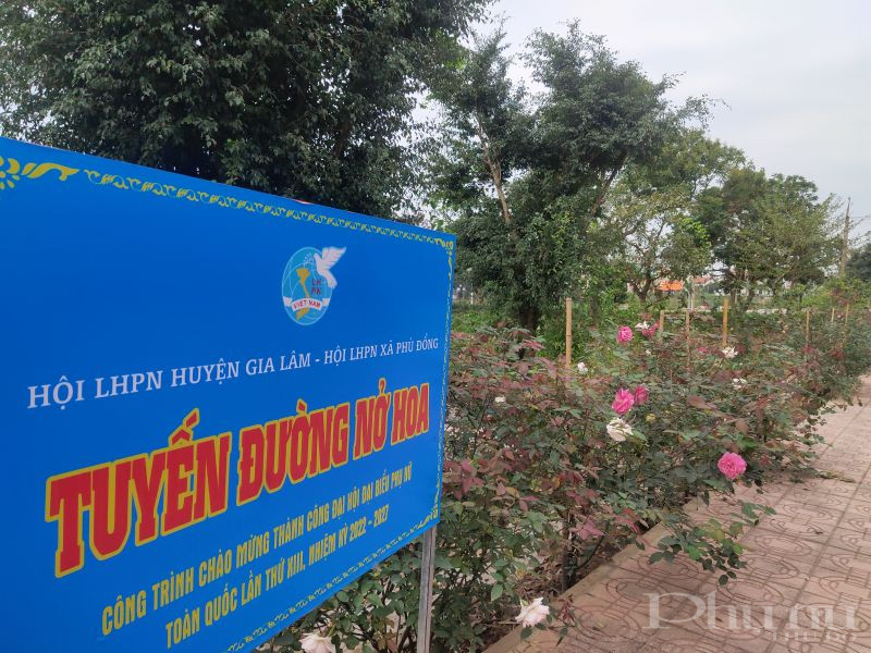 Gắn biển nhiều công trình chào mừng thành công Đại hội Đại biểu Phụ nữ toàn quốc lần thứ XIII - ảnh 6