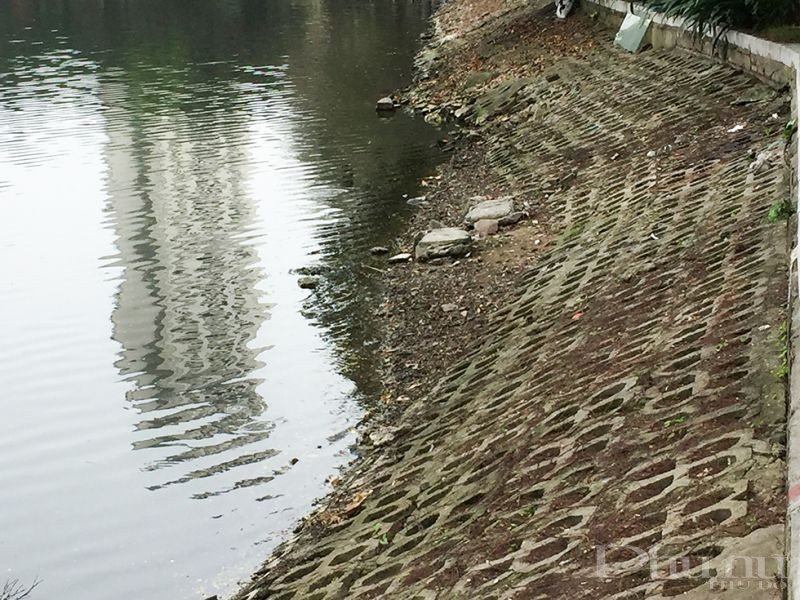 Hình ảnh nhếch nhác quanh hồ Trúc Bạch