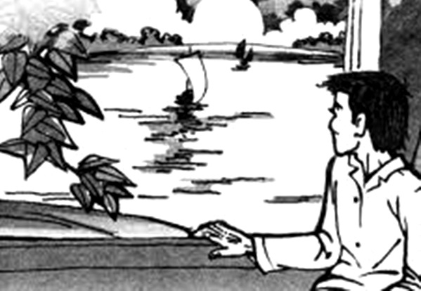 Minh họa sưu tầm