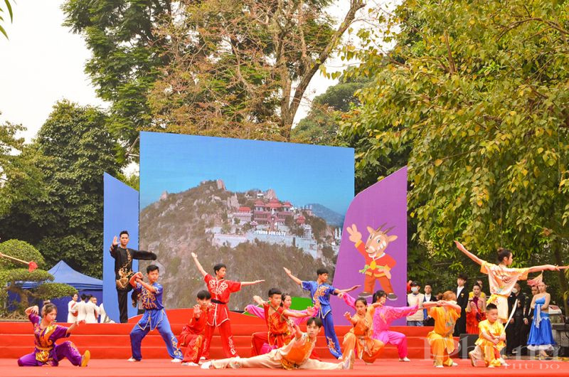 Bài biểu diễn võ thuật của các vận động viên