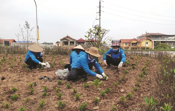 Chị em cán bộ hội viên phụ nữ Thủ đô tham gia trồng cây xanh tại các tuyến đường, con ngõ phố để góp phần bảo vệ môi trường và xây dựng nông thôn mới, đô thị văn minh