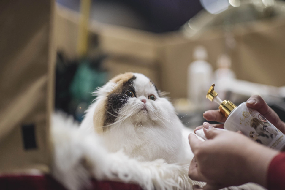 Một thí sinh được 