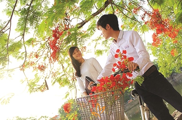 Ảnh minh họa Ảnh minh họa
