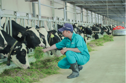 Trang trại Vinamilk Green Farm - m&ocirc; h&igrave;nh trang trại c&ocirc;ng nghệ cao đi đ&ocirc;i với ph&aacute;t triển bền vững được Vinamilk giới thiệu v&agrave;o năm 2021 (H&igrave;nh: Duy Nhất)