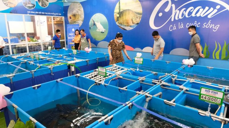 Kh&aacute;ch h&agrave;ng tham quan, chọn mua thuỷ sản tại Chợ C&aacute; Việt