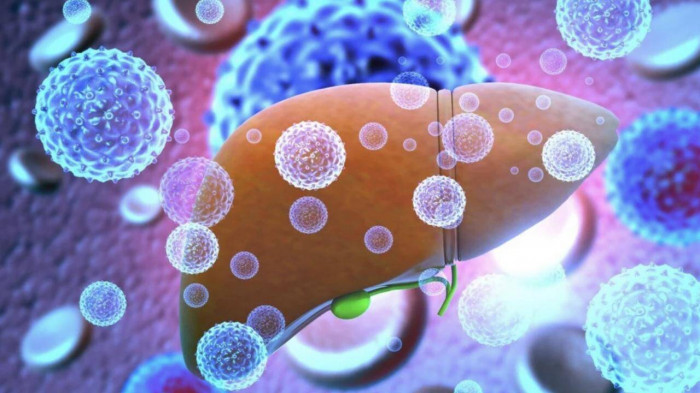 Ảnh minh hoạ. Ảnh minh hoạ.