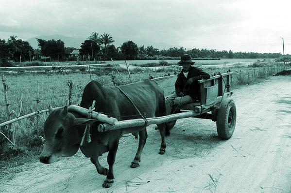 Đường về Phum - ảnh 1