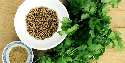 Chữa sởi bằng cây rau mùi - ảnh 1