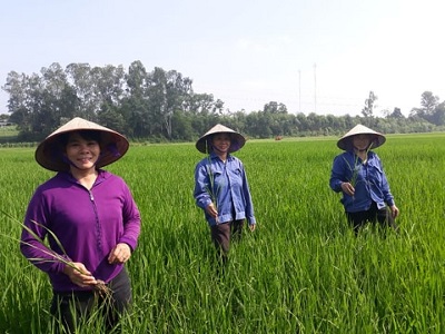 Kỳ 2: Những “nữ thủ lĩnh” trong xây dựng đời sống mới - ảnh 1