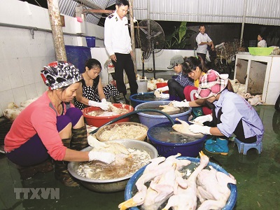 Còn lúng túng trong xử lý sự cố - ảnh 1