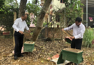 Ngọt ngào mật ong Kim Sơn - ảnh 1