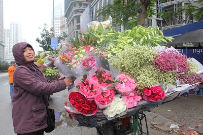 Xin chào Ngày Hạnh Phúc! - ảnh 5