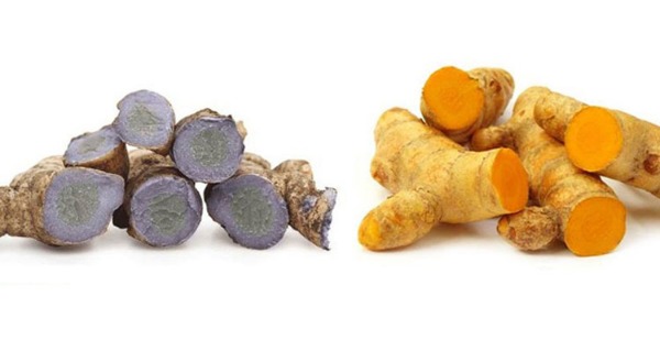 Nghệ đen hay nghệ vàng tốt hơn? - ảnh 1