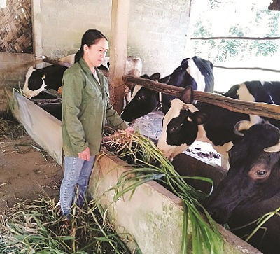 Phụ nữ giúp nhau làm giàu, nói không với ly hương - ảnh 2