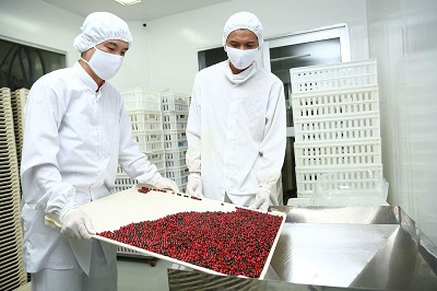 Quy định đấu thầu thuốc gây khó “Đông y” - ảnh 1