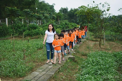 "Nhân lên những "Ước mơ Totto-chan" - ảnh 1