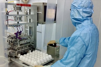 Hành trình từ quả trứng gà tới vaccine thương hiệu Việt - ảnh 1