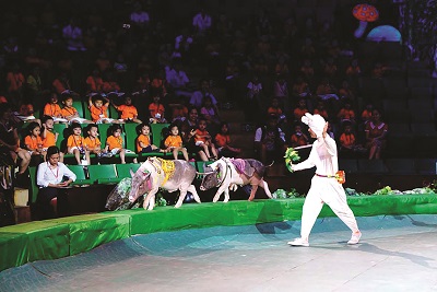 Thú vị, bất ngờ với xiếc thú nuôi - ảnh 2