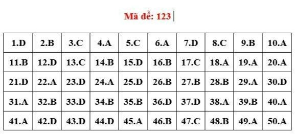 Cập nhật đề thi, giải đề môn Toán tốt nghiệp THPT ảnh 7