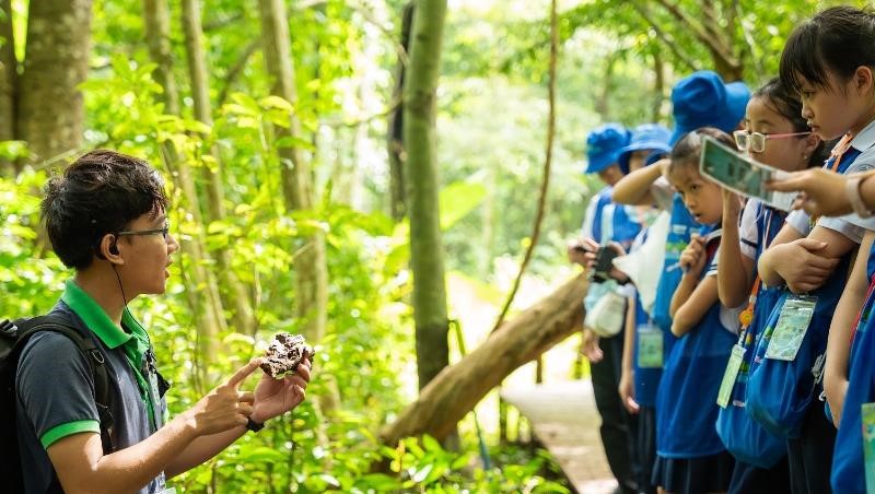 Chạm vào thiên nhiên để thấy hơn một nụ cười của trẻ