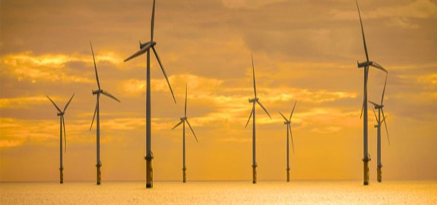 Dự báo lãi quý I/2024 của Bamboo Capital (BCG) đạt khoảng 100 tỷ đồng, tổng công suất phát điện đạt