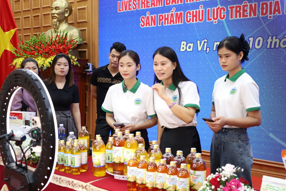 Huyện Ba Vì nâng cao năng lực cho các chủ thể OCOP - ảnh 1