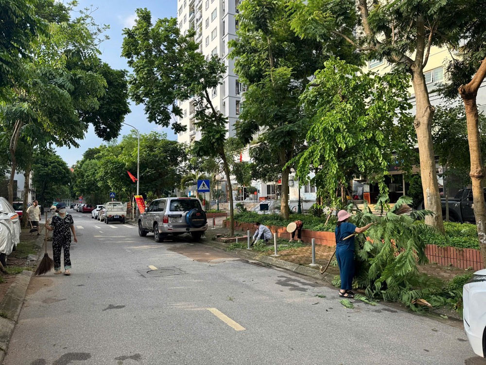 Mặt trận Tổ quốc phường Đại Mỗ ra quân hưởng ứng Ngày cuối tuần xanh - ảnh 4