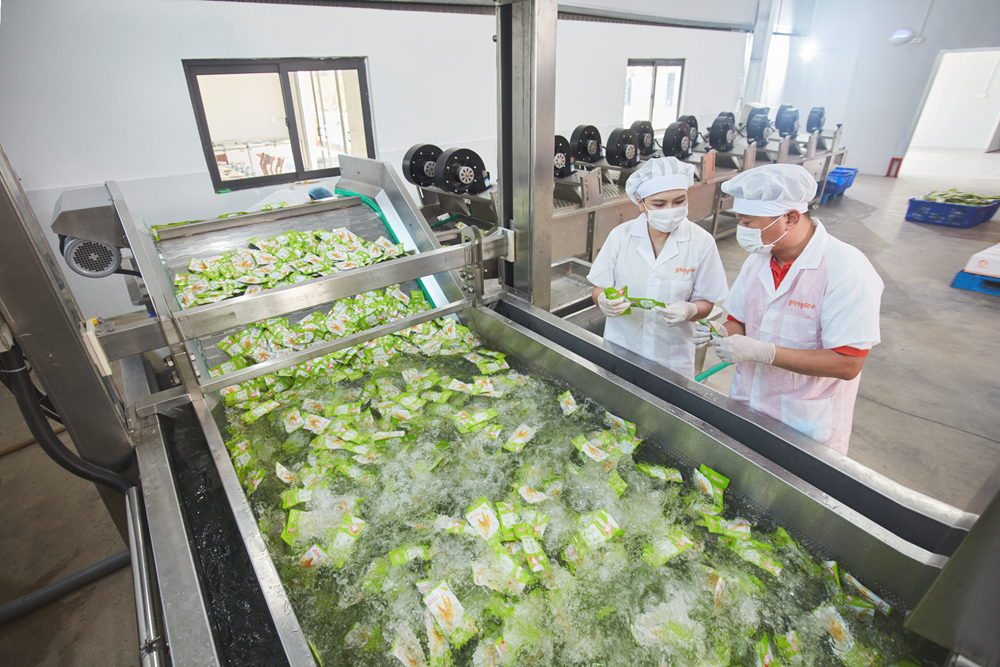 Từ “cầu nối nguyên liệu” đến “người thắp lửa cho thương hiệu thực phẩm Việt” - ảnh 4
