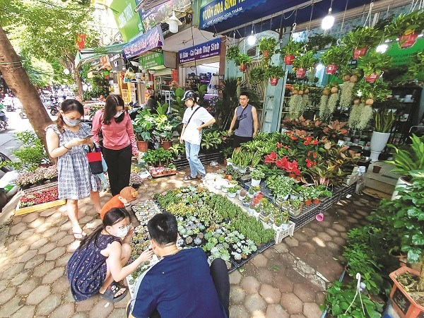 Chợ Hà Nội - điểm đến khám phá của nhiều du khách - ảnh 1
