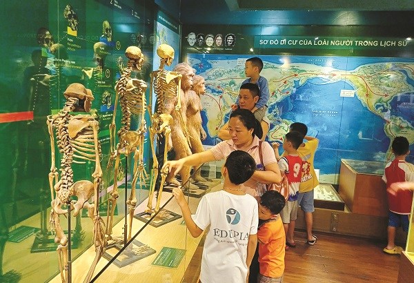 Có gì hấp dẫn ở Bảo tàng thiên nhiên Việt Nam? - ảnh 2