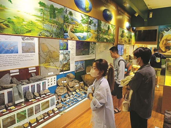 Có gì hấp dẫn ở Bảo tàng thiên nhiên Việt Nam? - ảnh 1