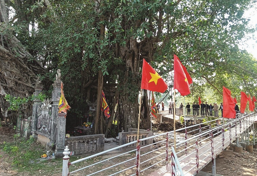 Thu hút du lịch từ cây di sản - ảnh 1