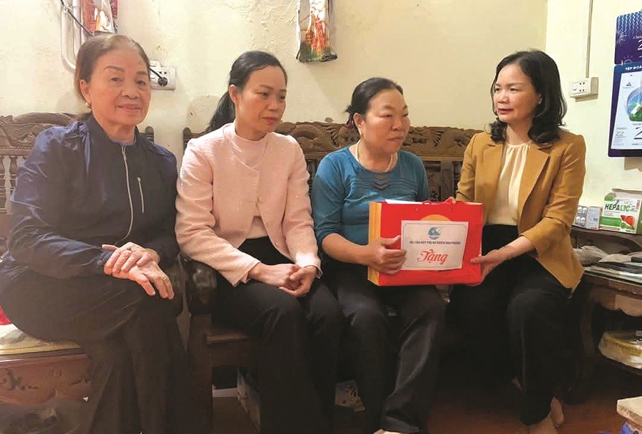 Các cấp Hội Phụ nữ huyện Đan Phượng: Chung sức xây dựng nông thôn mới nâng cao, kiểu mẫu - ảnh 1