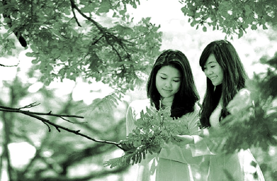 Hè về - ảnh 1